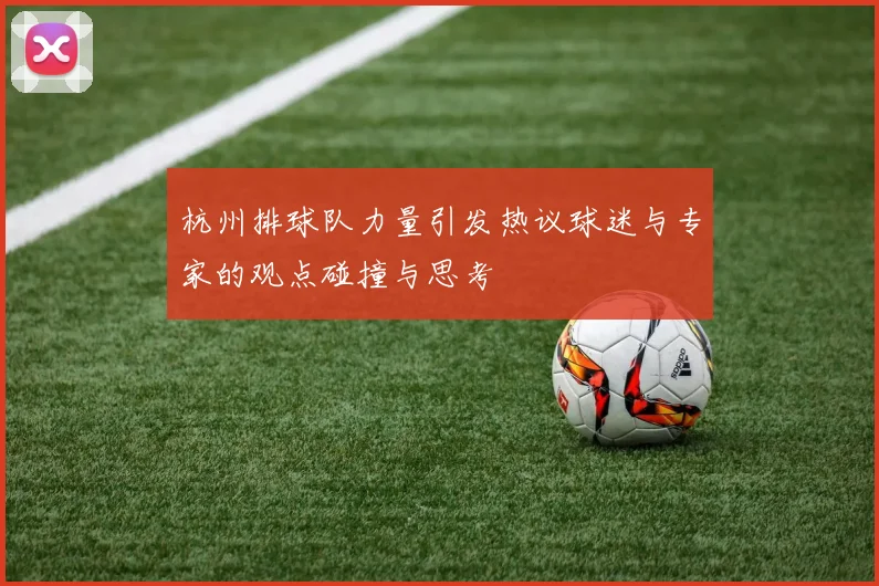 杭州排球队力量引发热议球迷与专家的观点碰撞与思考